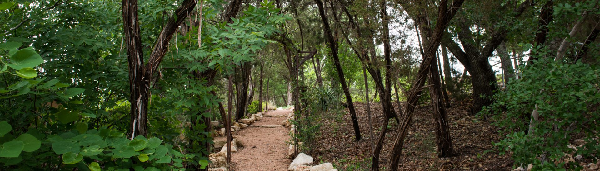 037 path brendaladdphoto cropbnr