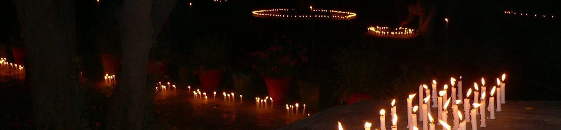 P1010111 e1759782086243